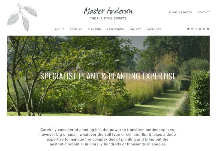 AlasterAndersonWaypointDigitalMarketing