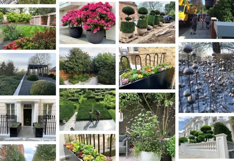 AlasterAndersonWaypointDigitalMarketingPlantingGallery