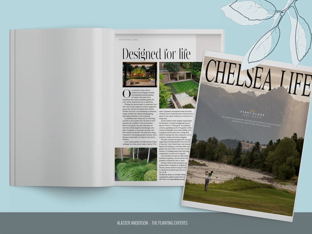 MAGAZINE