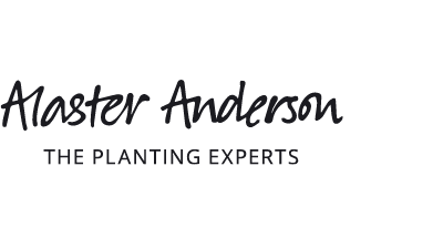 marketing agency winchester