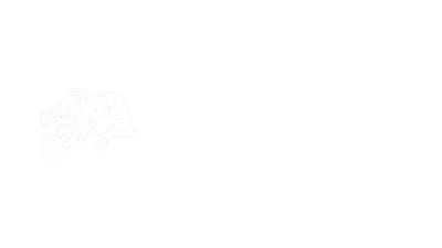 Drain And Sewer
